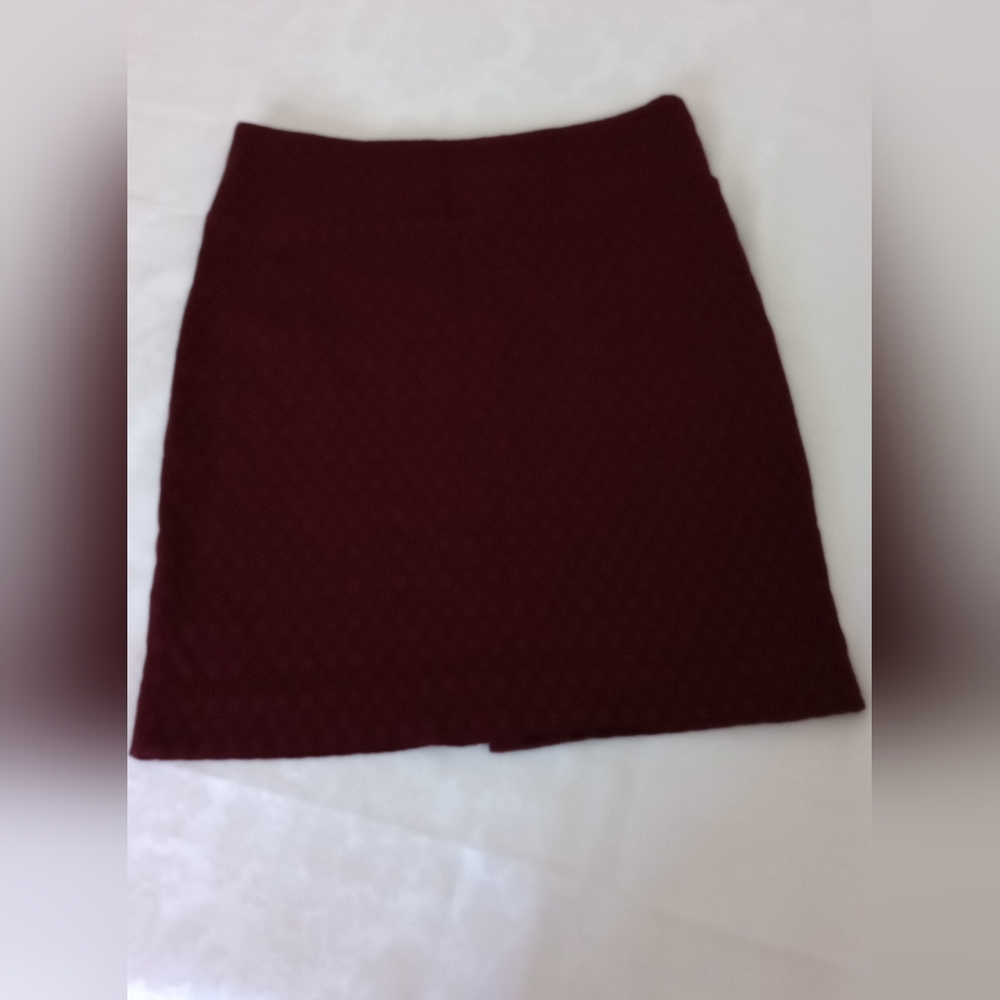 Margaret M patite skirt